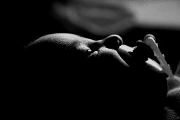 Thumbs/tn_IMG_2402_bw1.jpg