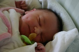 Thumbs/tn_IMG_2407.jpg